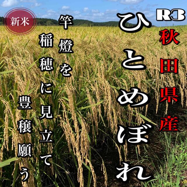 農家直送!令和3年 秋田県産【ひとめぼれ】玄米25kg 減農薬 一等米 ...