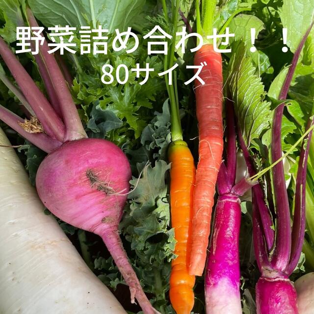 新鮮野菜セット！京都の田舎の小さな農家よりお届け！ 食品/飲料/酒の食品(野菜)の商品写真