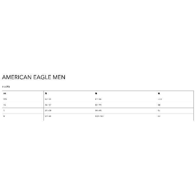 American Eagle(アメリカンイーグル)のAmerican Eagleアメリカンイーグル　パーカー　スポーツ メンズのトップス(パーカー)の商品写真