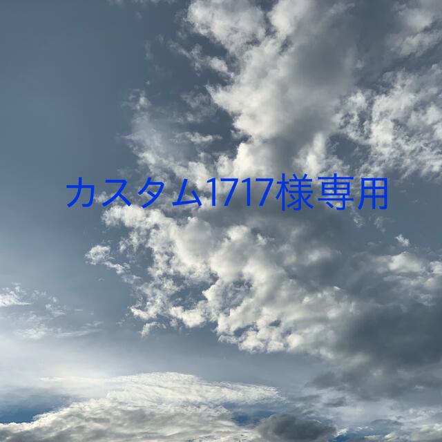 カスタム1717様専用 コスメ/美容のオーラルケア(歯磨き粉)の商品写真