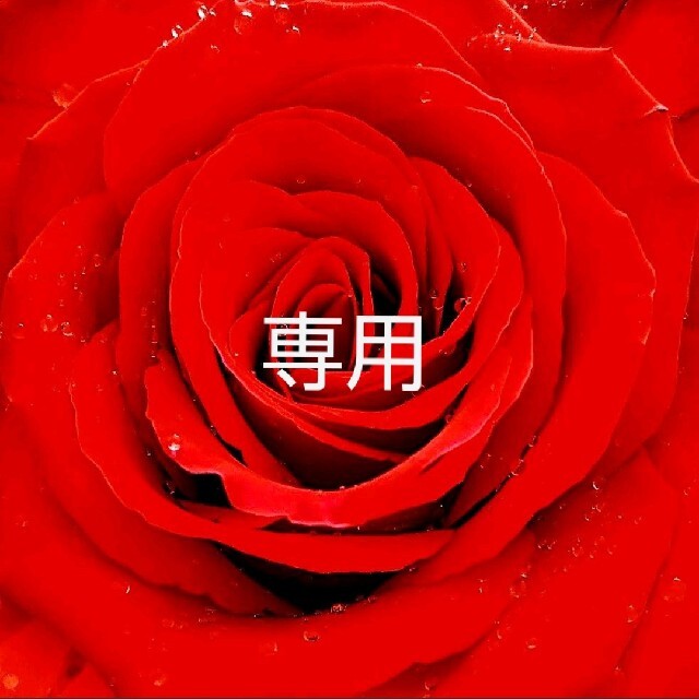 まいまい様♡専用 人気急上昇のタイムセール noxcapital.de