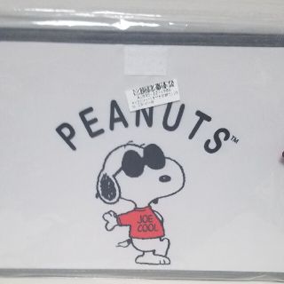 スヌーピー(SNOOPY)のSNOOPY   収納ボックス  フタ付き(ケース/ボックス)