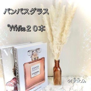 【大人気】パンパスグラス　White白　２０本入　送料込み　ドライフラワー(ドライフラワー)