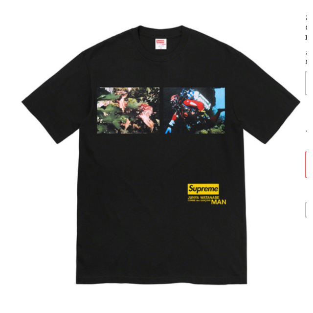 M Supreme ジュンヤワタナベ Nature Tシャツ 黒 シュプリームメンズ