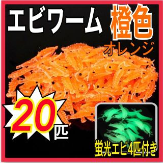 エビワーム　橙色20匹+蛍光エビ4匹付き(ルアー用品)