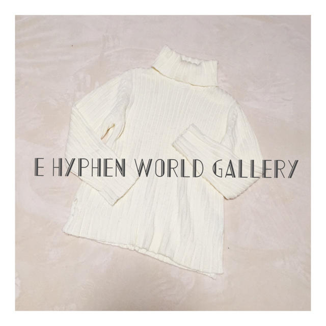 E hyphen world gallery(イーハイフンワールドギャラリー)のE hyphen world gallery:リブ編み タートルネック ニット レディースのトップス(ニット/セーター)の商品写真