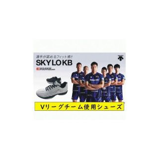 デサント(DESCENTE)の在庫有り！デサント27,5cmVリーグチーム採用バレーボールシューズSKYLO (バレーボール)