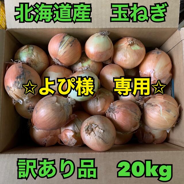 北海道産　玉ねぎ　訳あり品　20kg 食品/飲料/酒の食品(野菜)の商品写真