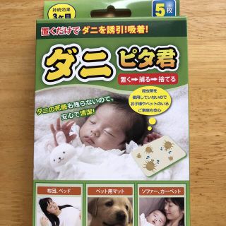 ダニピタ君 5枚入り 新品(その他)