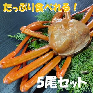 【北海道産】紅ズワイ蟹　約600ｇ　5尾セット　冷凍　お中元　お歳暮　ギフト(魚介)