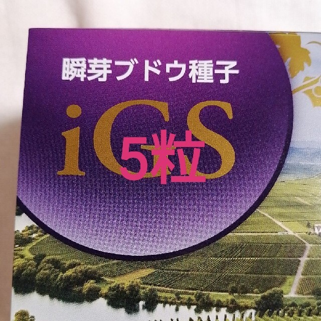 iGS瞬芽ブドウ種子