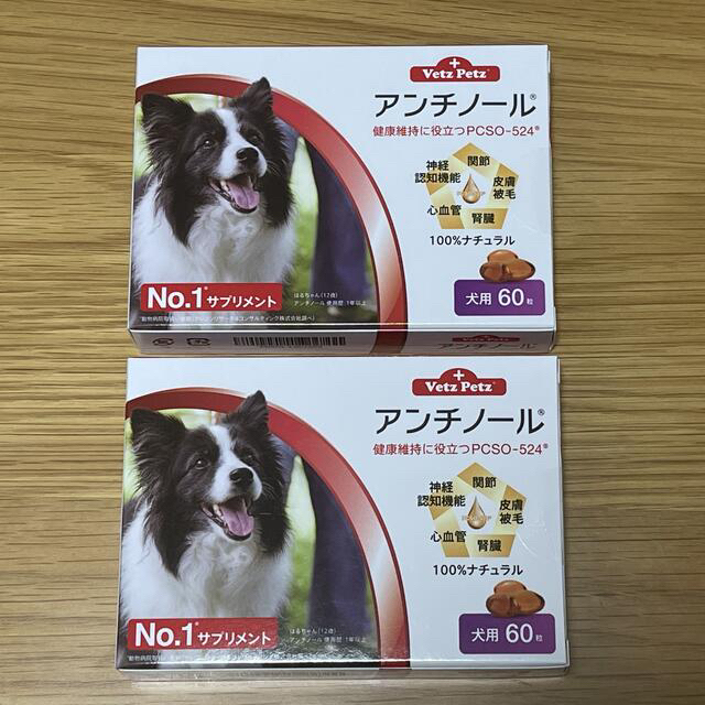 ペット用品犬用アンチノール 60粒 2箱