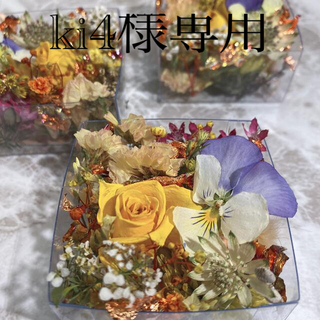 ki4様専用☆ドライフラワー 花材BOX ☆B＋金木犀ドライフラワーの通販