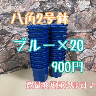 八角鉢 ◎20個◎  ブルー2号 2寸 プラ鉢 ミニ鉢 (プランター)