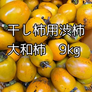 格安　徳島県産　干し柿用渋柿　大和柿　9kg(フルーツ)