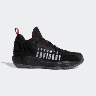 値段交渉ok‼【31㎝】adidas DAME 7 EXTPLY