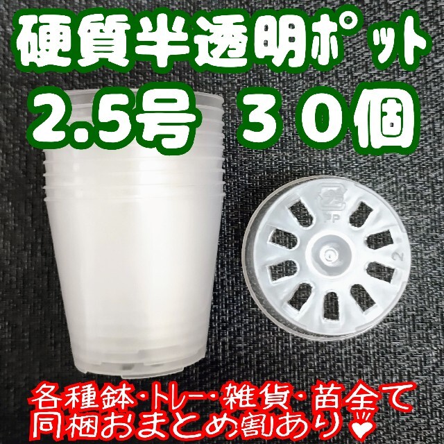 硬質半透明ポリポット 2.5号7.5cm 100個他 プラ鉢多肉植物プレステラ1