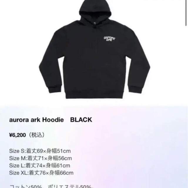 在庫処分❣️BUMP aurora ark hoodie パーカー エンタメ/ホビーのタレントグッズ(ミュージシャン)の商品写真