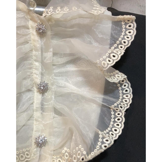 シースルー ブラウス ドレス オールインワン レディースのワンピース(ひざ丈ワンピース)の商品写真