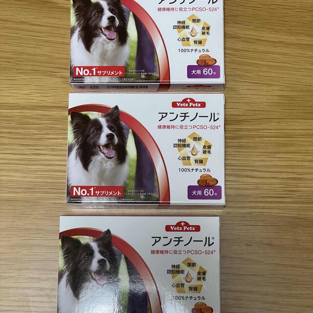 犬用アンチノール 60粒 3箱犬