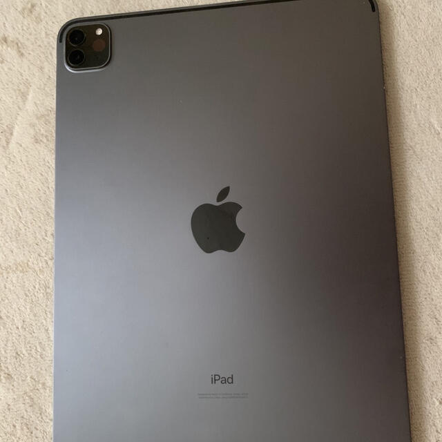 有カラーアップル iPad Pro 11インチ 第2世代 WiFi 256GB スペース