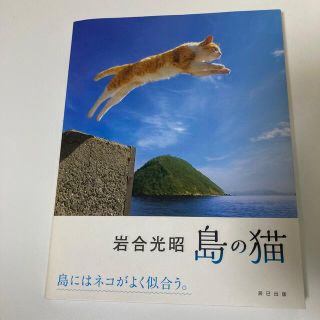 島の猫(住まい/暮らし/子育て)