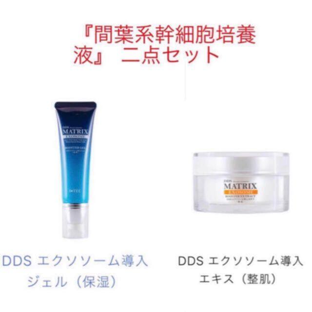 2個セットDDSエクソソーム導入ジェル | monsterdog.com.br