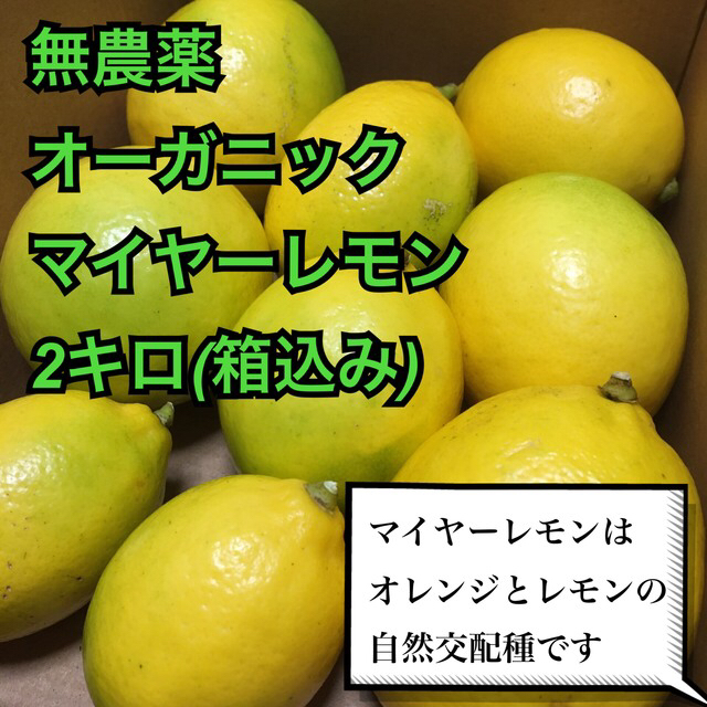 農家直送　無農薬マイヤーレモン　2キロ(箱込み) オーガニック 食品/飲料/酒の食品(フルーツ)の商品写真