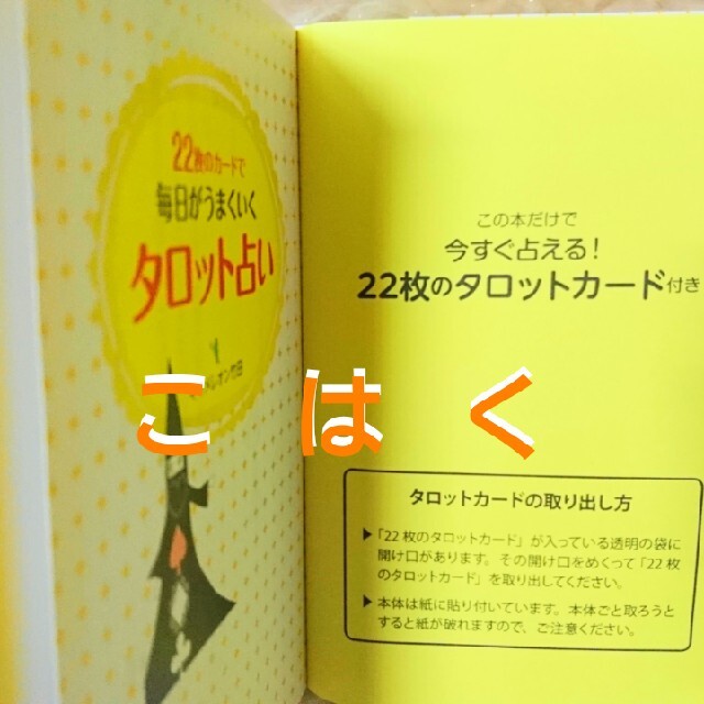22枚のカードで毎日がうまくいくタロット占い キャメレオン竹田