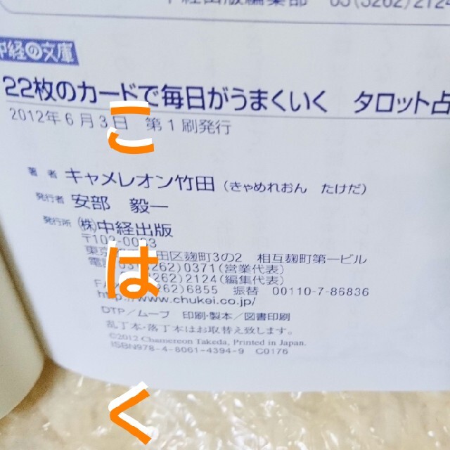 22枚のカードで毎日がうまくいくタロット占い キャメレオン竹田