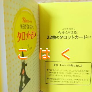 22枚のカードで毎日がうまくいくタロット占い キャメレオン竹田