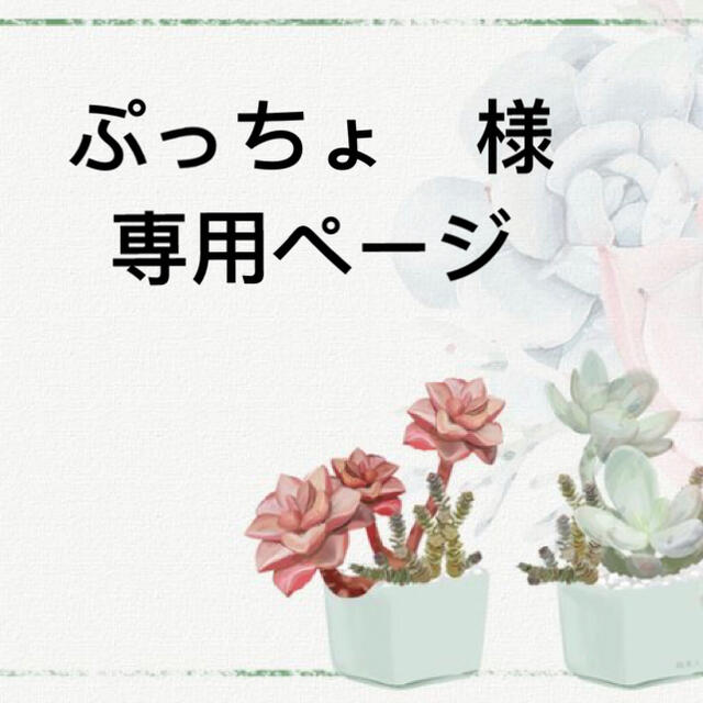 ぷっちょ 様 専用ページの通販 by 萌え✿*:.多肉's shop|ラクマ