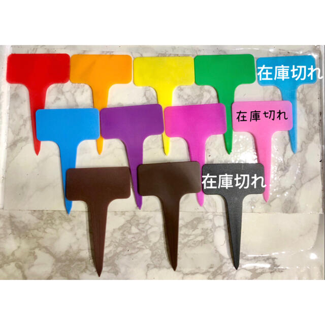 ぷっちょ 様 専用ページの通販 by 萌え✿*:.多肉's shop|ラクマ