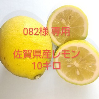 佐賀産 レモン 10キロ(フルーツ)
