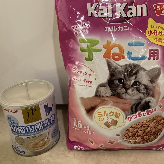 ROYAL CANIN(ロイヤルカナン)の子猫　離乳食&ドライフードセット その他のペット用品(ペットフード)の商品写真