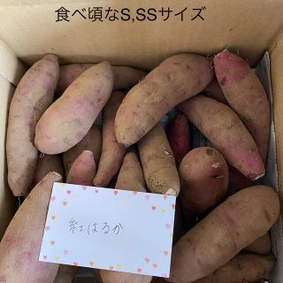 紅はるか　子供のおやつにぴったりサイズ　3㎏(野菜)