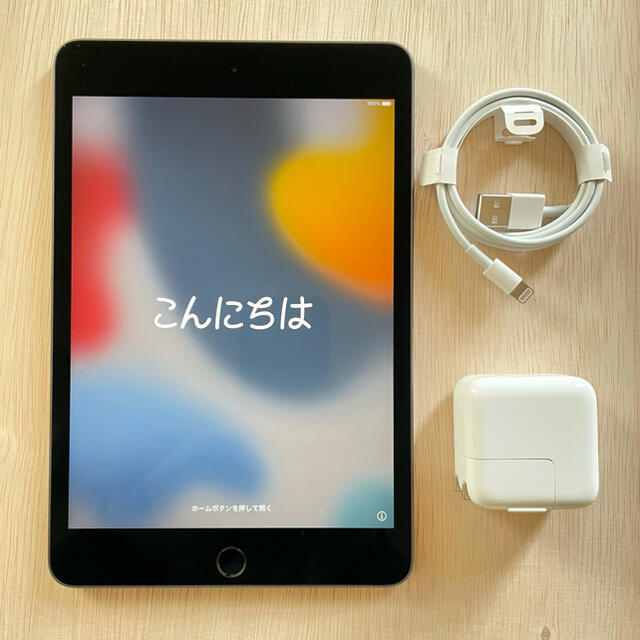 ぴぴ様専用】iPad mini 5 Wi-Fi 64GB スペースグレー \半額SALE/ sk