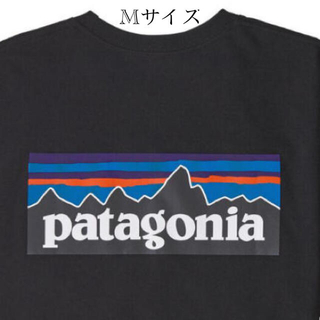 パタゴニア(patagonia)のパタゴニア　Tシャツ(シャツ)