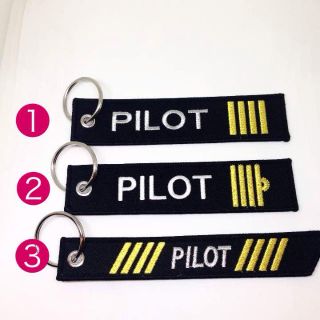 再入荷！パイロット キャプテン タグ エアライングッズ 飛行機 JAL ANA (航空機)