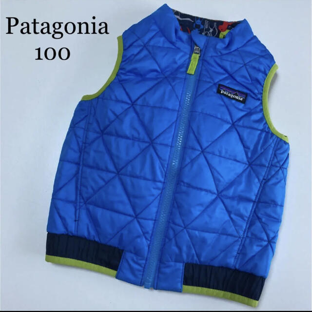 patagonia - パタゴニア リバーシブル ダウンベスト アウター