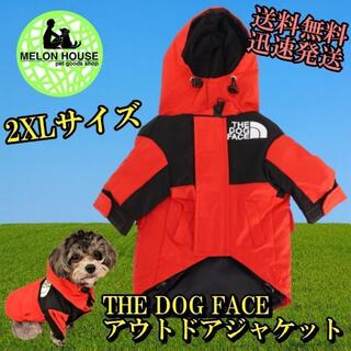 レッドMサイズ ドッグウェア犬用ダウンジャケットおしゃれthedogface