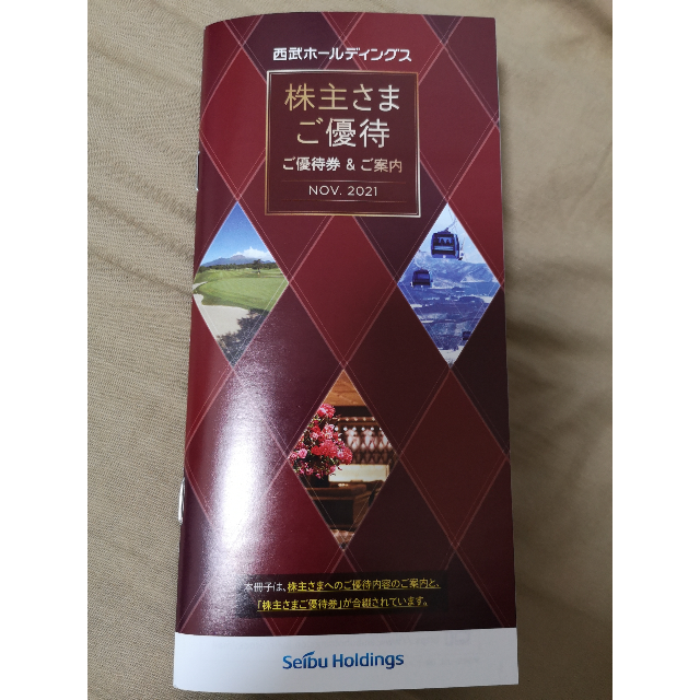 西武ホールディングス内野指定席引換券他優待冊子