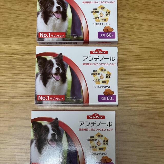 犬用アンチノール 60粒 3箱その他