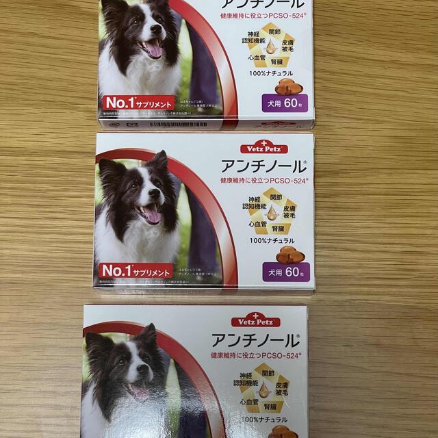 犬用アンチノール 60粒 3箱犬