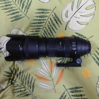 シグマ(SIGMA)のSIGMA APO50-500  SONY Aマウント(レンズ(ズーム))