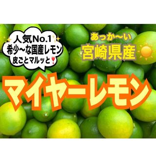 【希少な国産レモン】マイヤーレモン2㎏（送料込み）レモン　みかん　果物(フルーツ)