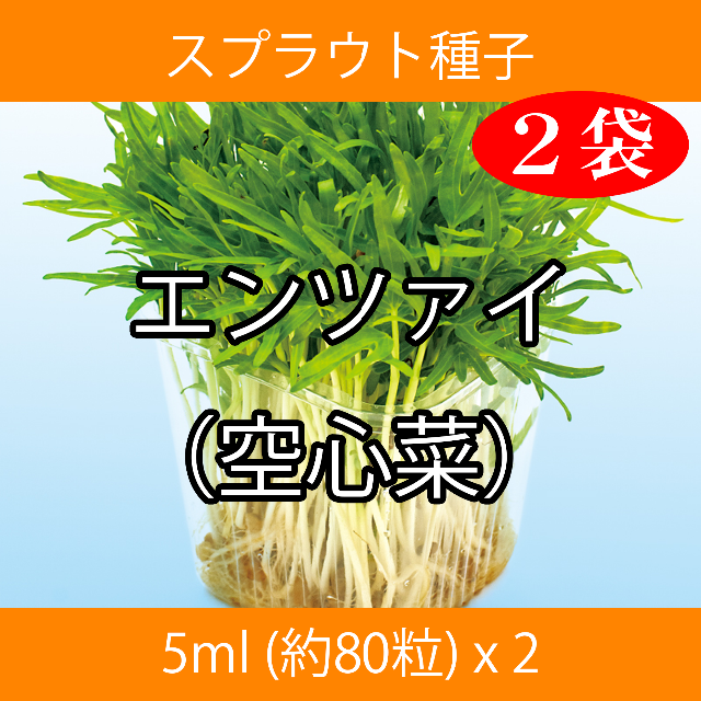 スプラウト種子 S-14 エンツァイ（空心菜） 5ml 約80粒 x 2袋 食品/飲料/酒の食品(野菜)の商品写真