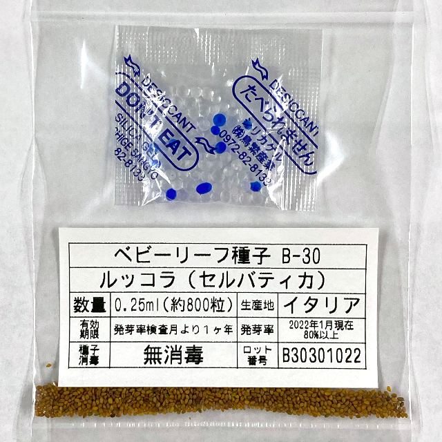 ベビーリーフ種子 B-30 ルッコラ（セルバティカ）0.25ml約800粒x2袋 食品/飲料/酒の食品(野菜)の商品写真