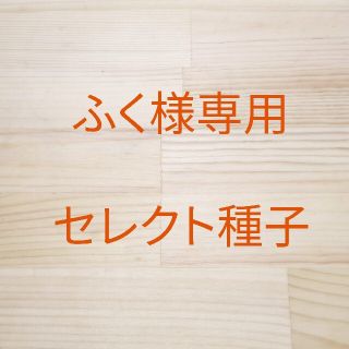 ふく様専用　セレクト種子　4袋(その他)