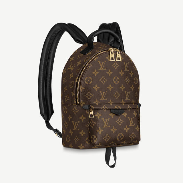 LOUIS VUITTON - ルイヴィトン LOUIS VUITTONパームスプリングスバックパック PM